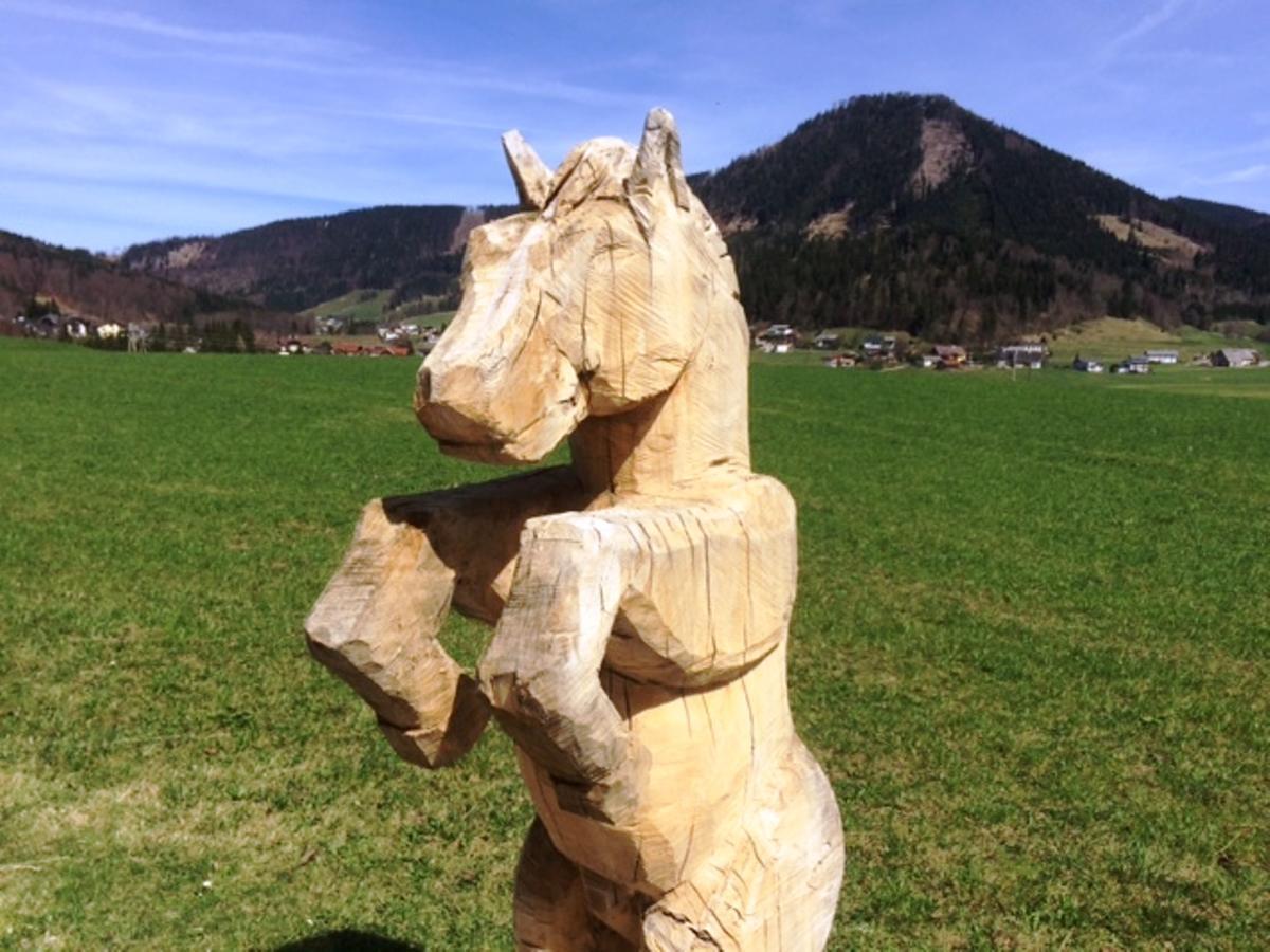 "Hochegg" Hotel Faistenau Luaran gambar